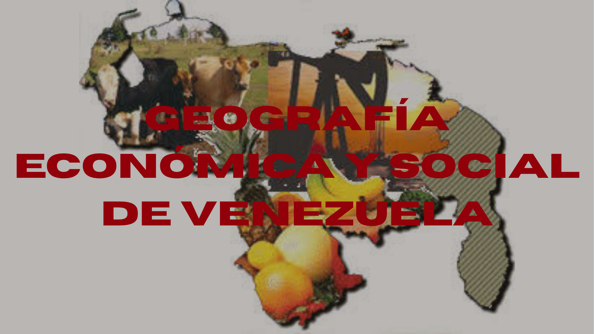 Geografia economica y social de Venezuela